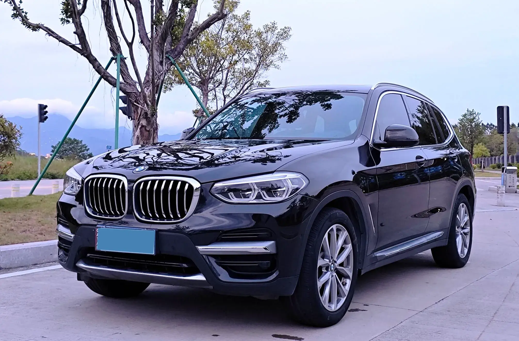2020 BMW X3 view 1