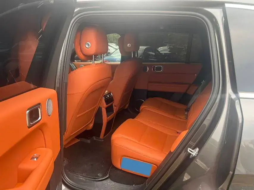 2024 LI L6 thumbnail 2