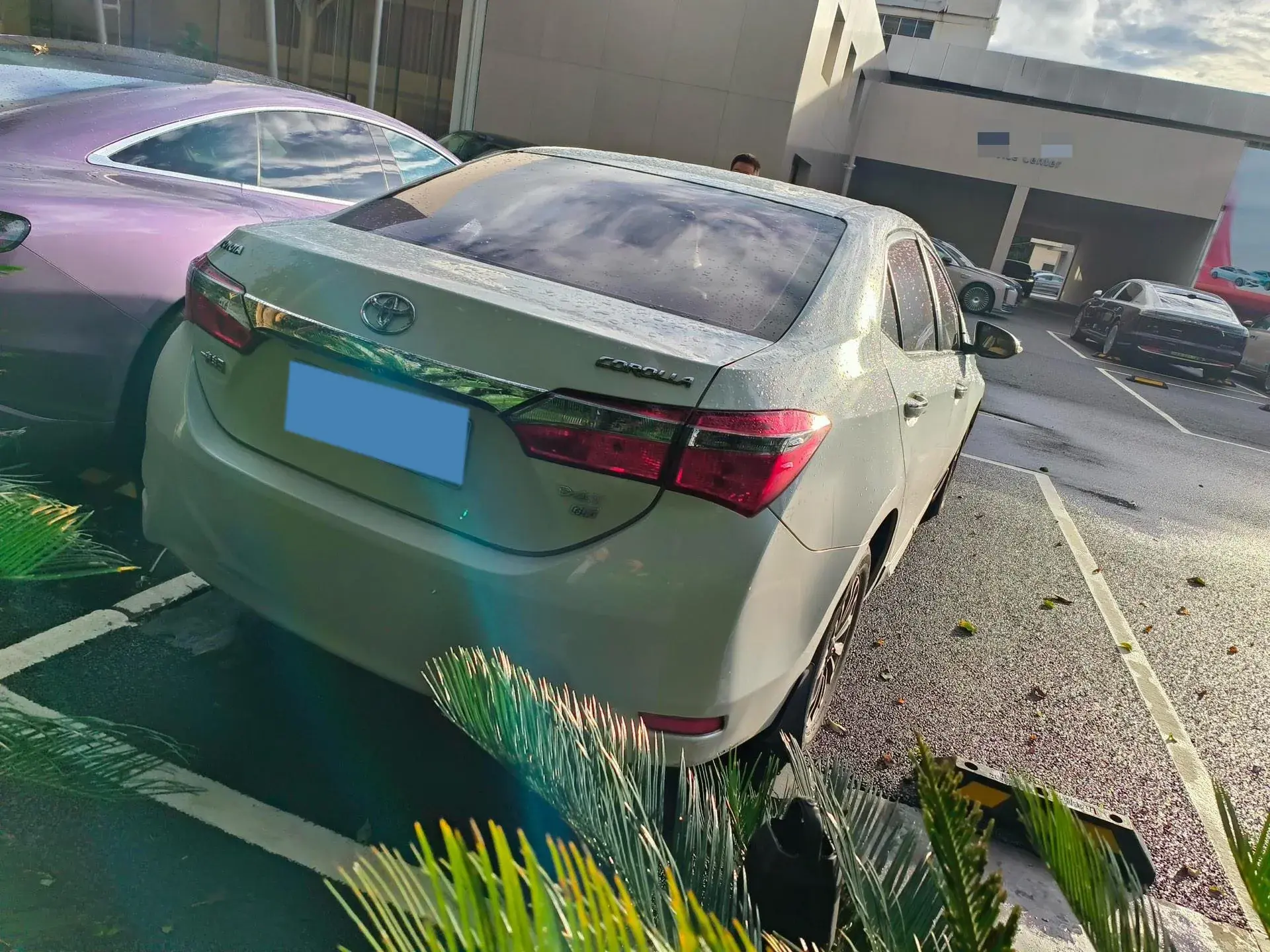 2017 TOYOTA COROLLA thumbnail 3