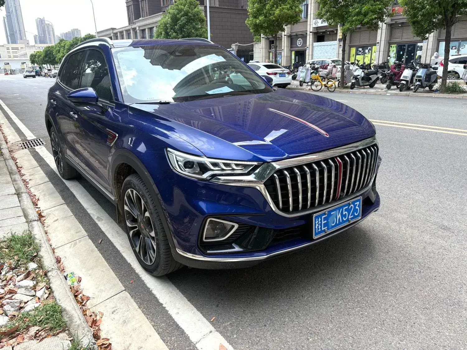 2019 HONGQI HS5 thumbnail 3