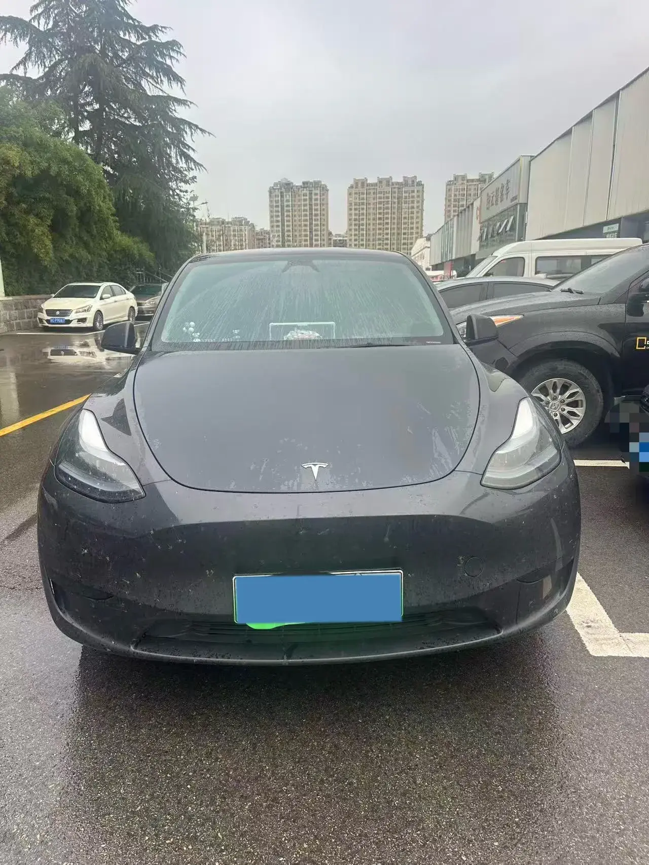 2024 TESLA MODEL thumbnail 2