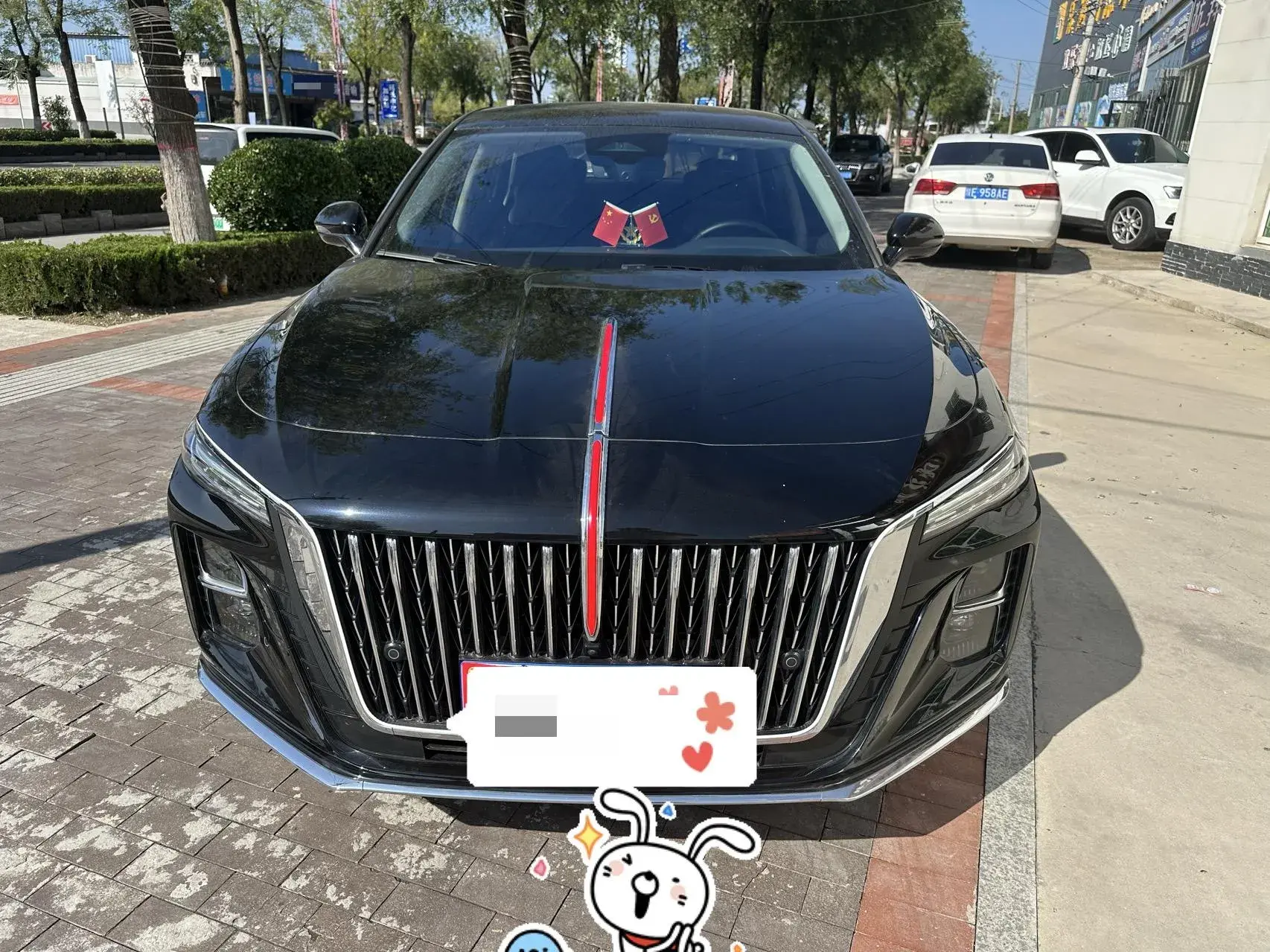 2023 HONGQI H5 thumbnail 2