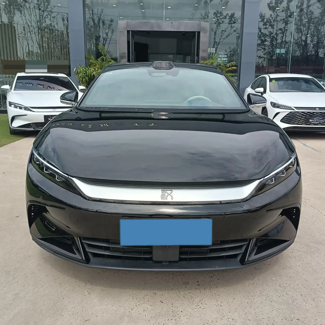 2025 BYD HAN thumbnail 2