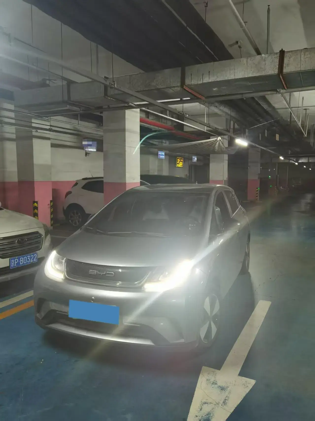 2023 BYD DOLPHIN view 1