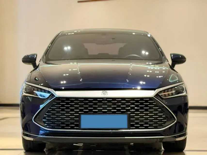 2024 BYD QIN thumbnail 2