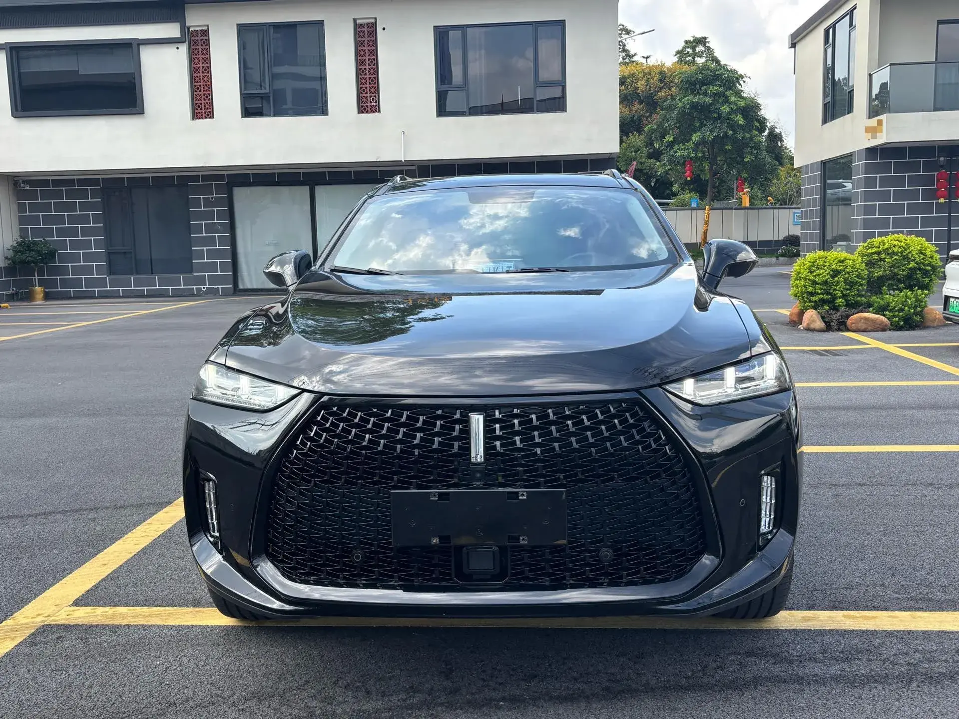 2018 WEY P8 thumbnail 2