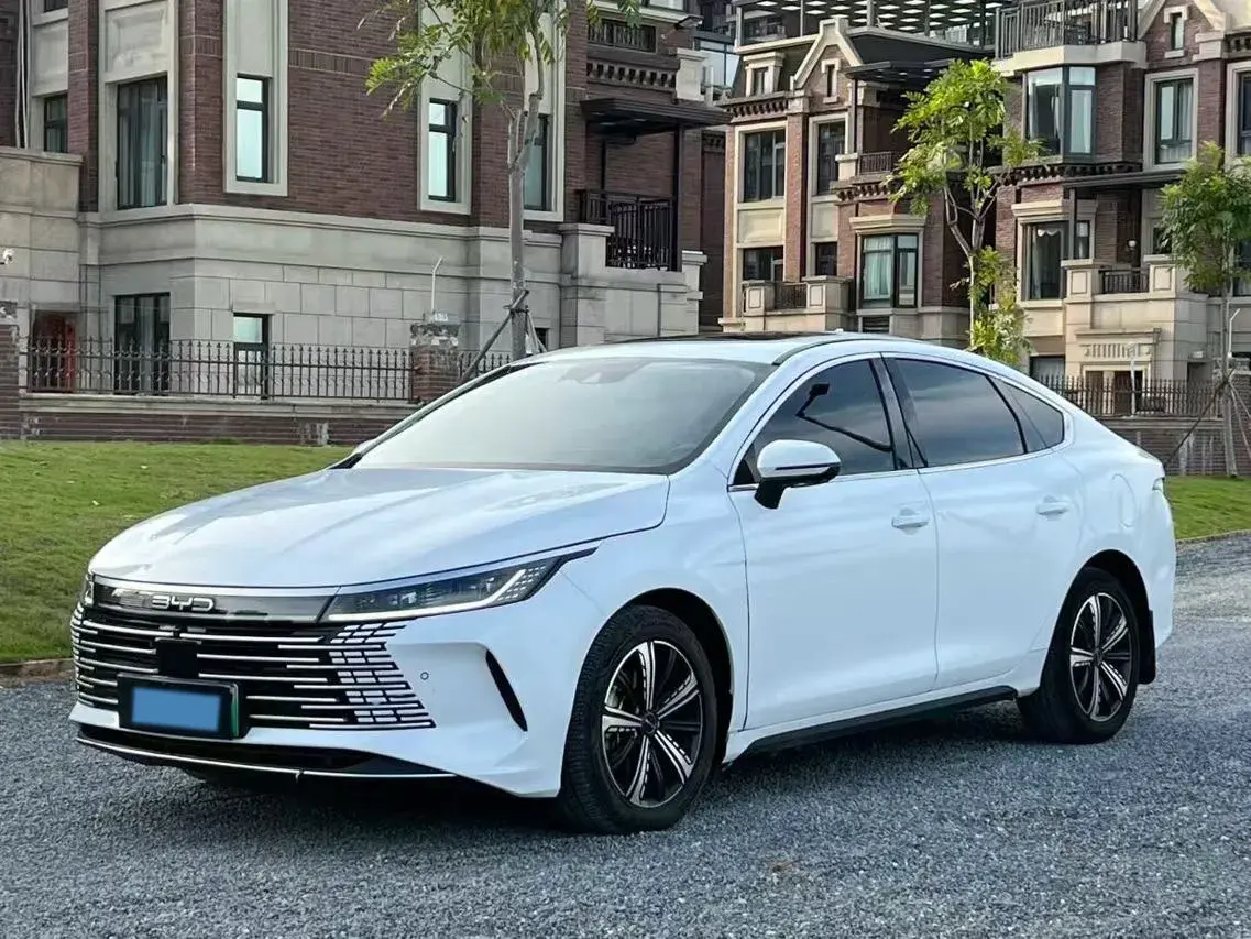 2022 BYD DESTROYER view 1