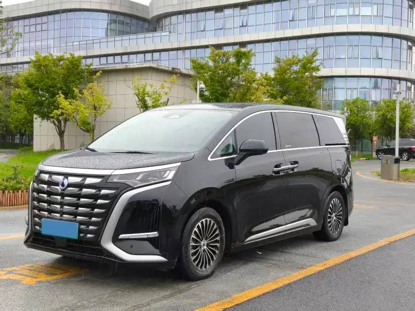 2022 DENZA D9 view 1