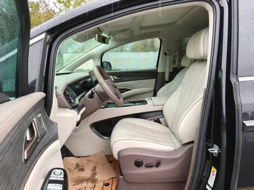 2022 DENZA D9 thumbnail 4