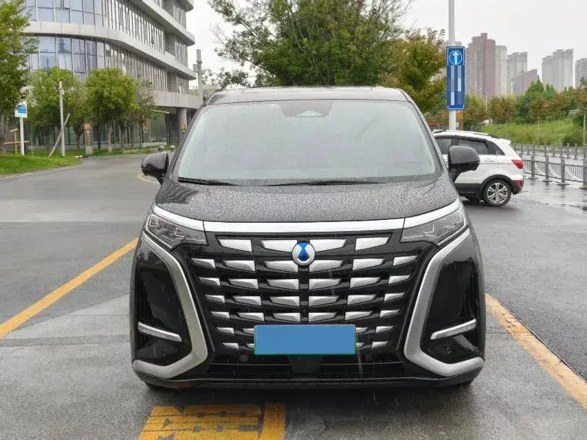 2022 DENZA D9 thumbnail 2