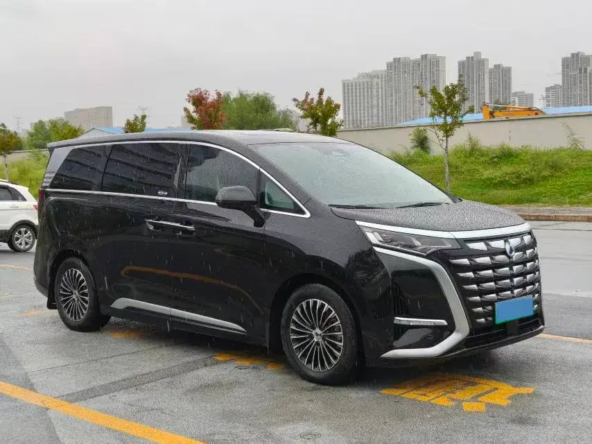 2022 DENZA D9 thumbnail 3