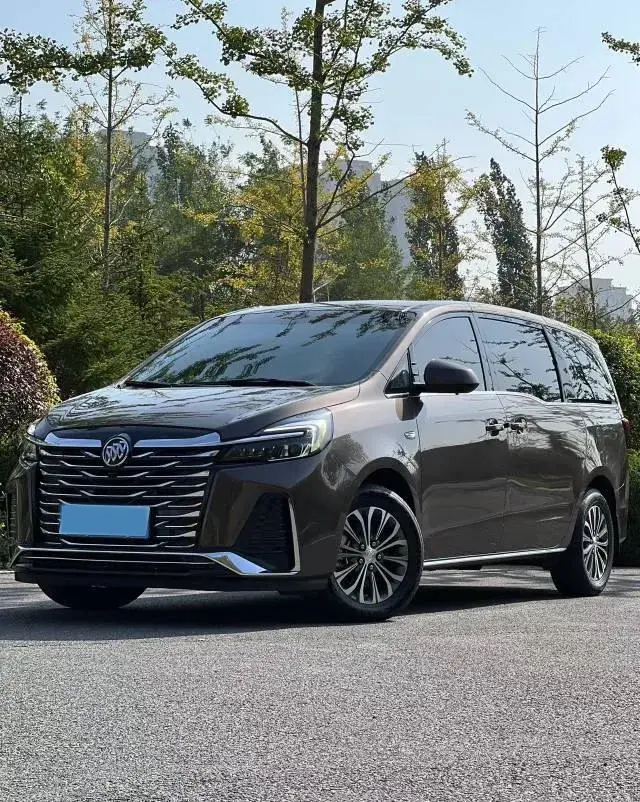 2023 BUICK GL8 view 1