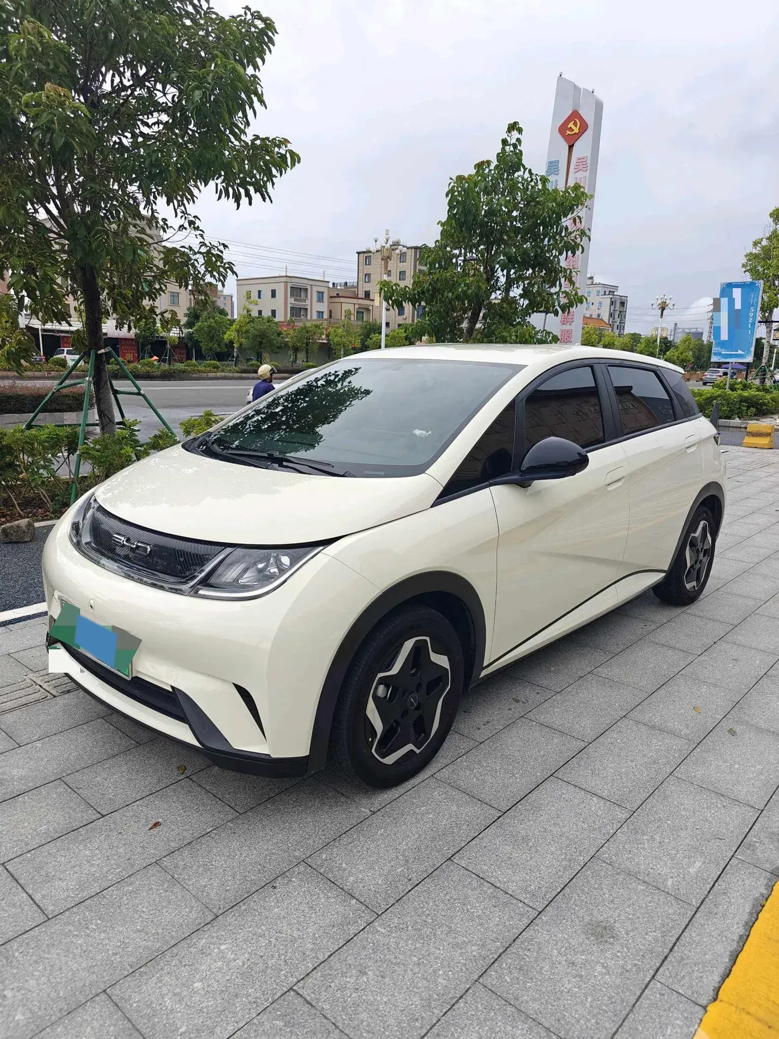 2021 BYD DOLPHIN view 1