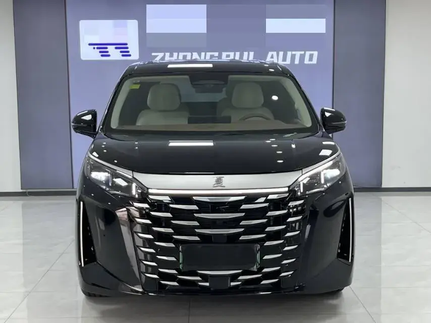 2025 BYD XIA thumbnail 2