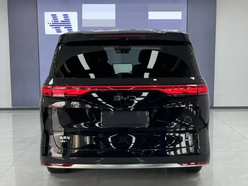 2025 BYD XIA thumbnail 4