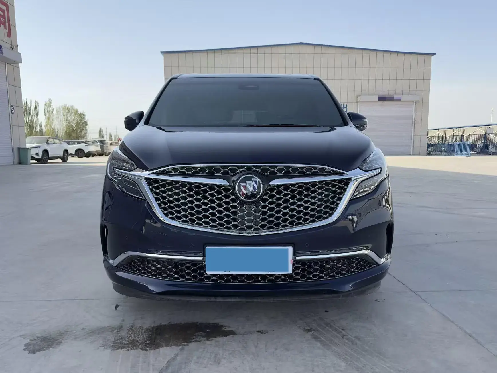 2020 BUICK GL8 thumbnail 2