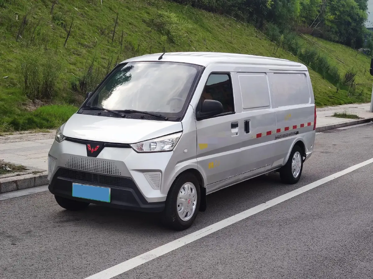 2020 WuLing EV50 BEV 43.2KWH