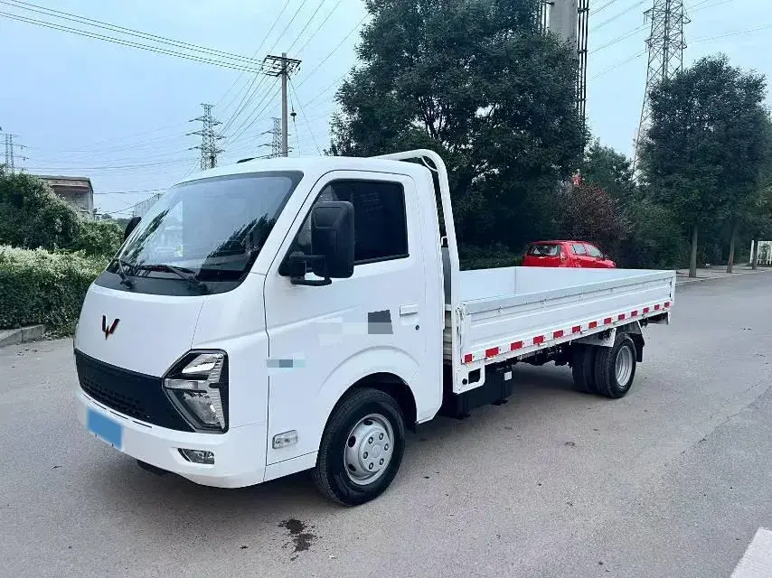2023 WuLing Loong Truck 2.0L 136HP L4 5MT