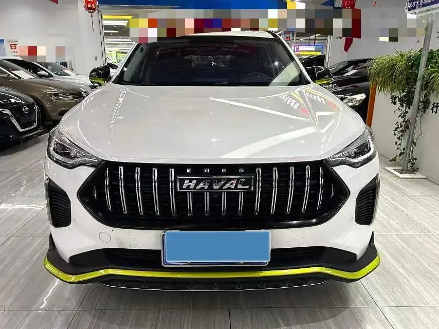 2022 HAVAL RABBIT thumbnail 2