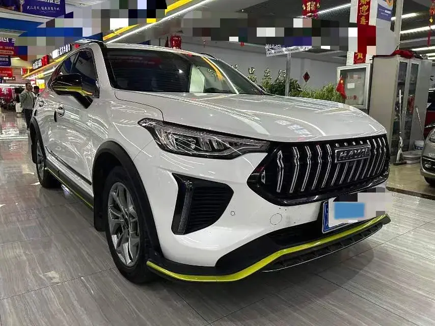 2022 HAVAL RABBIT thumbnail 3
