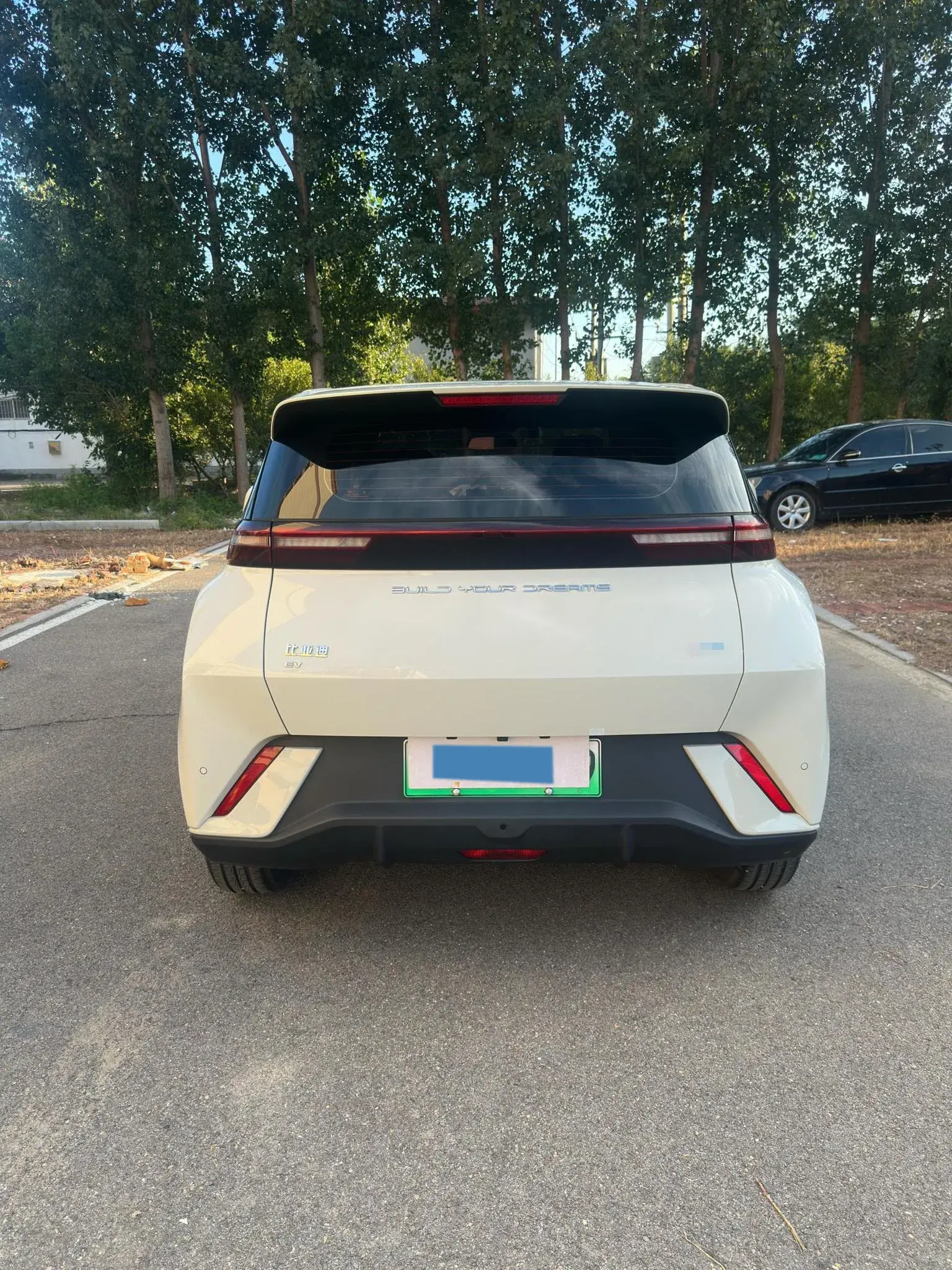 2023 BYD SEAGULL thumbnail 3