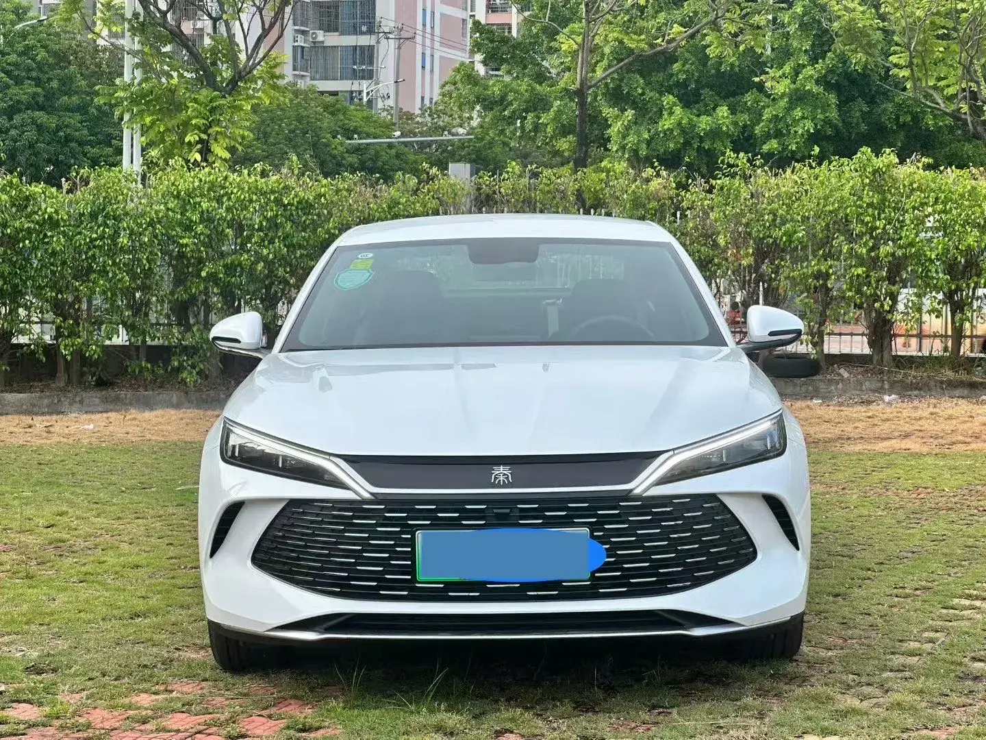 2024 BYD QINL thumbnail 2