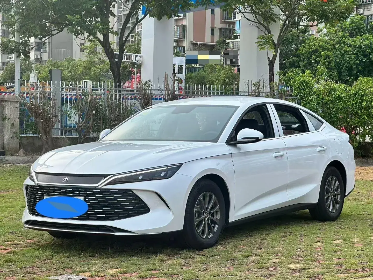 2024 BYD QINL view 1