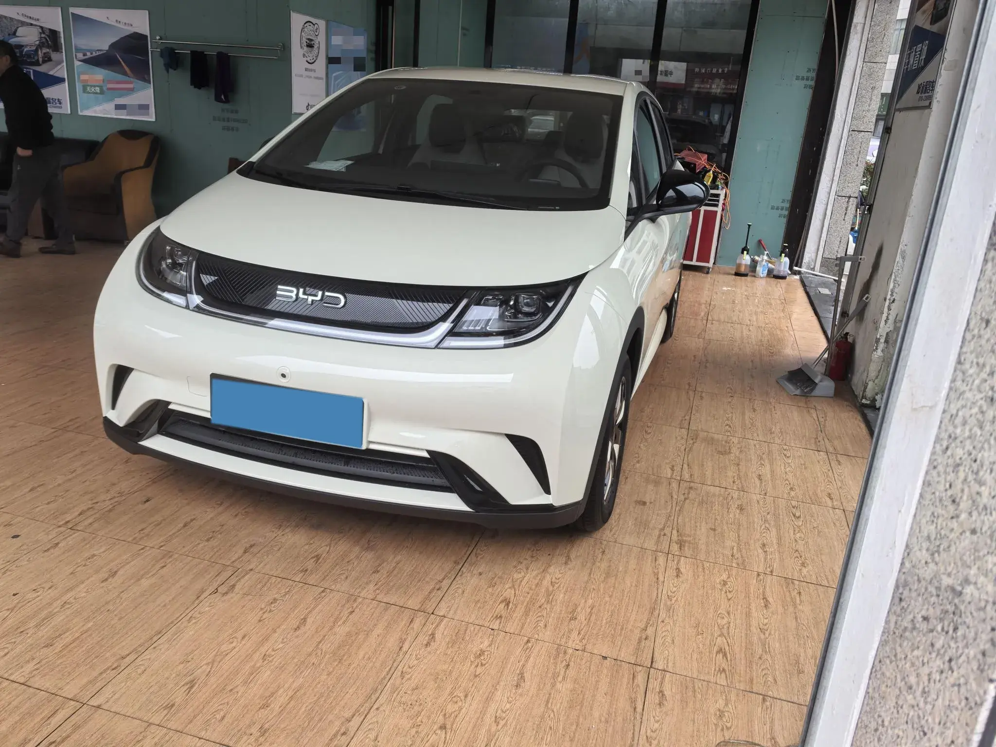 2025 BYD DOLPHIN view 1