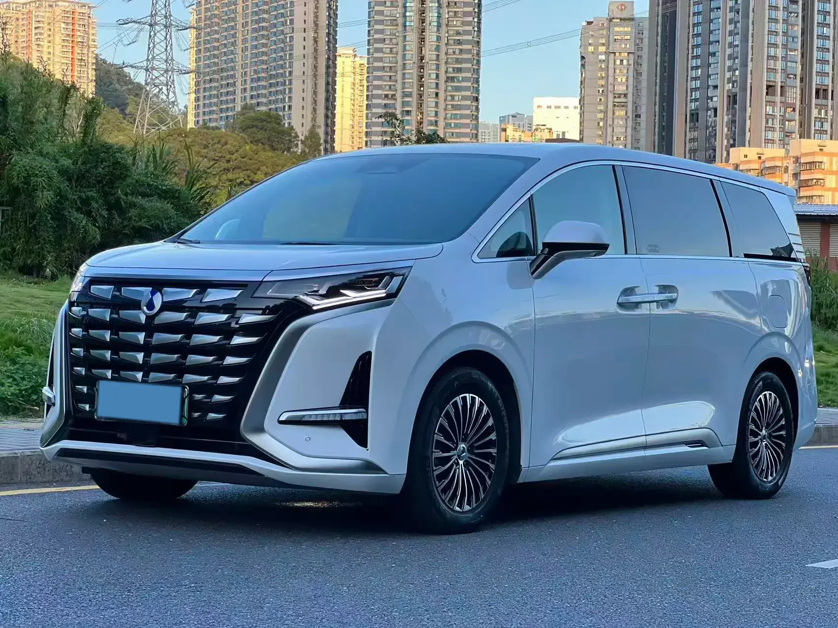 2022 DENZA D9 view 1