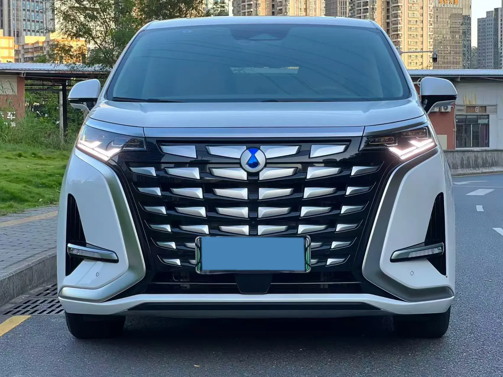 2022 DENZA D9 thumbnail 2