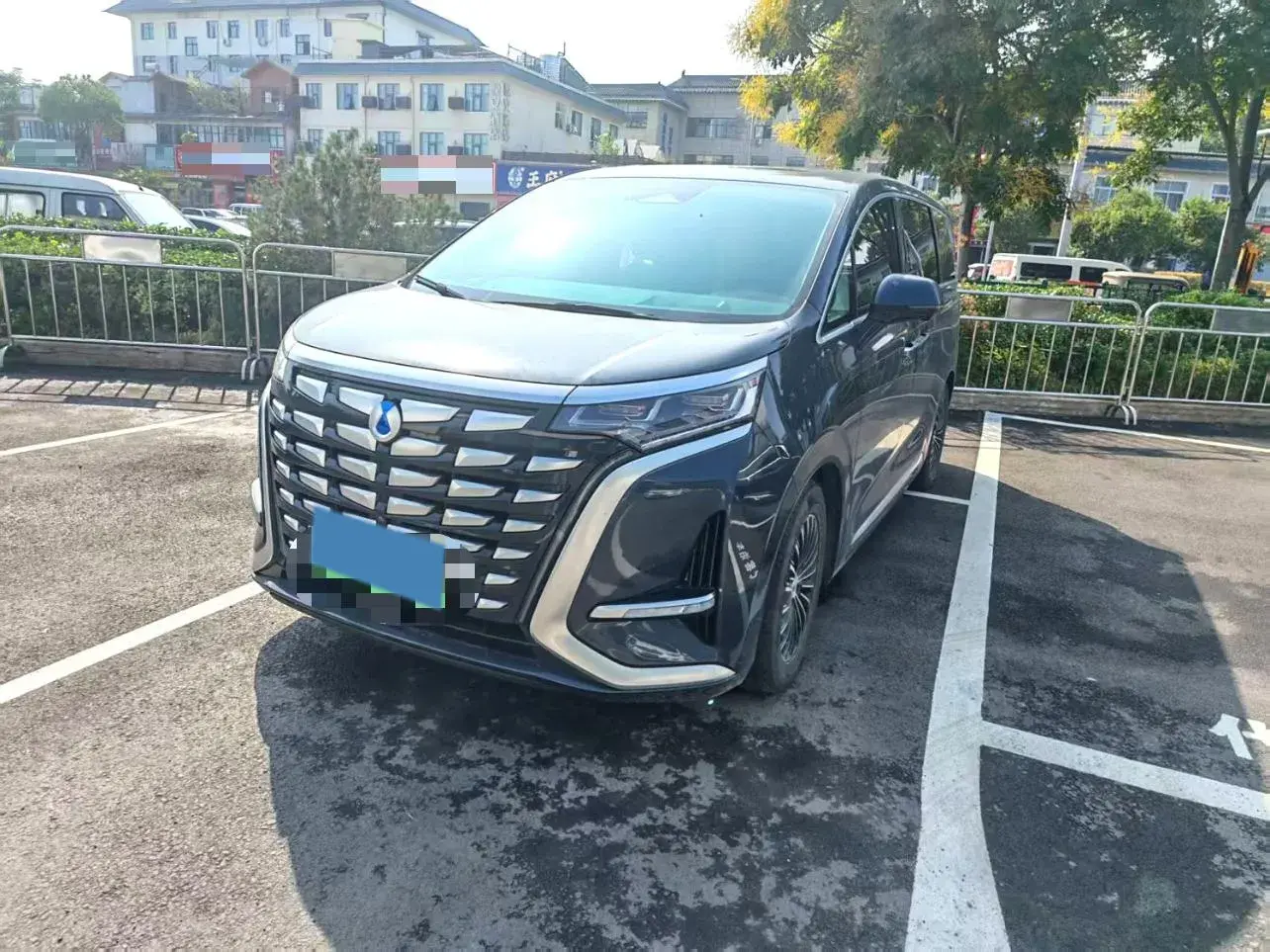 2022 DENZA D9 view 1