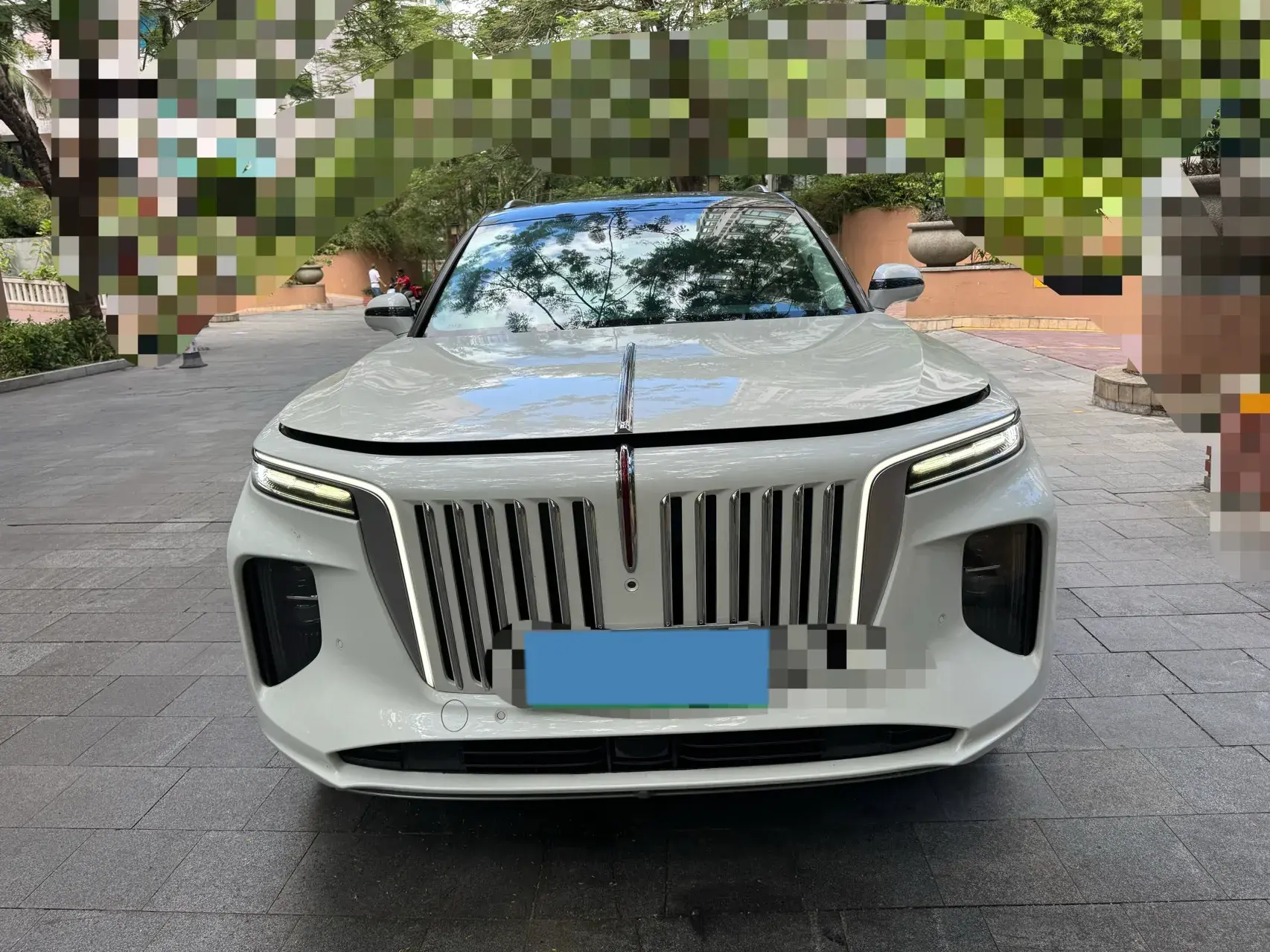 2021 HONGQI E-HS9 thumbnail 2