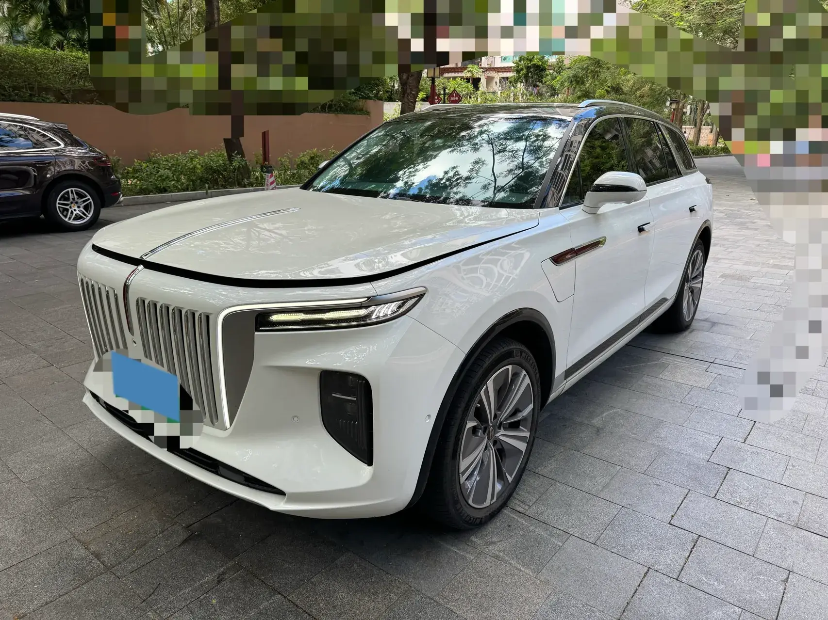 2021 HONGQI E-HS9 view 1