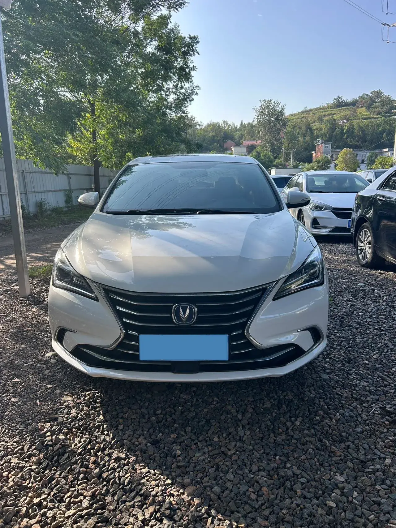 2019 CHANGAN EADO thumbnail 2