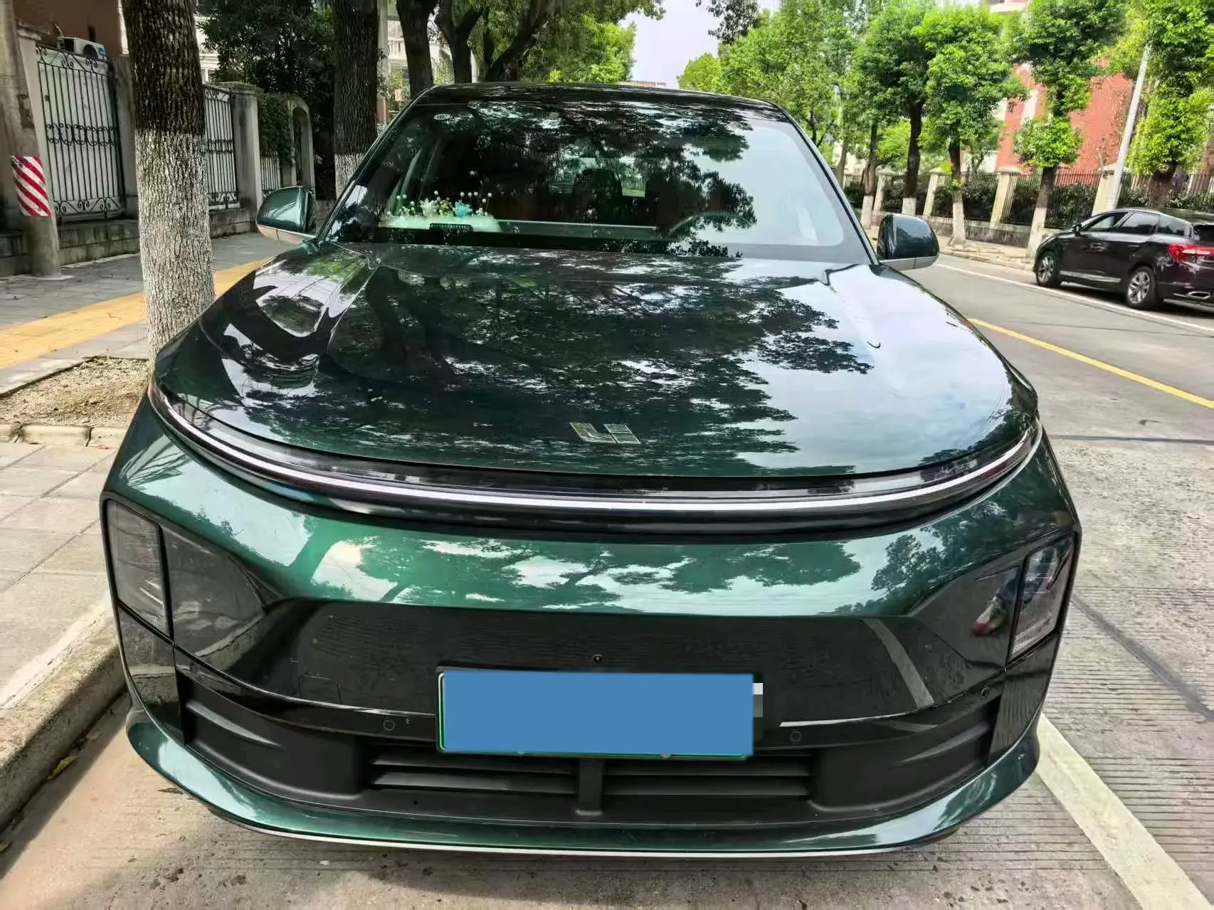 2024 LI L6 thumbnail 2