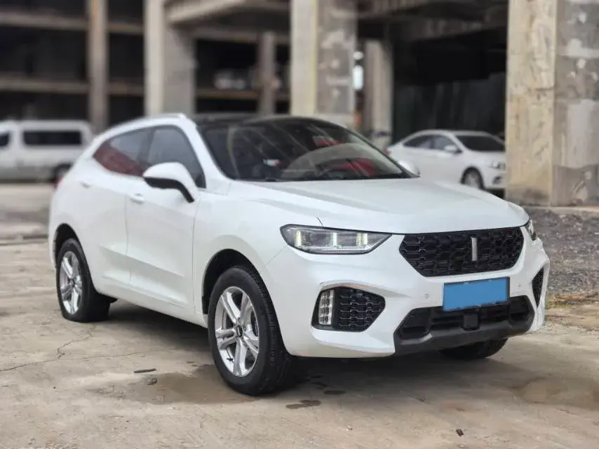 2019 WEY VV5 thumbnail 3