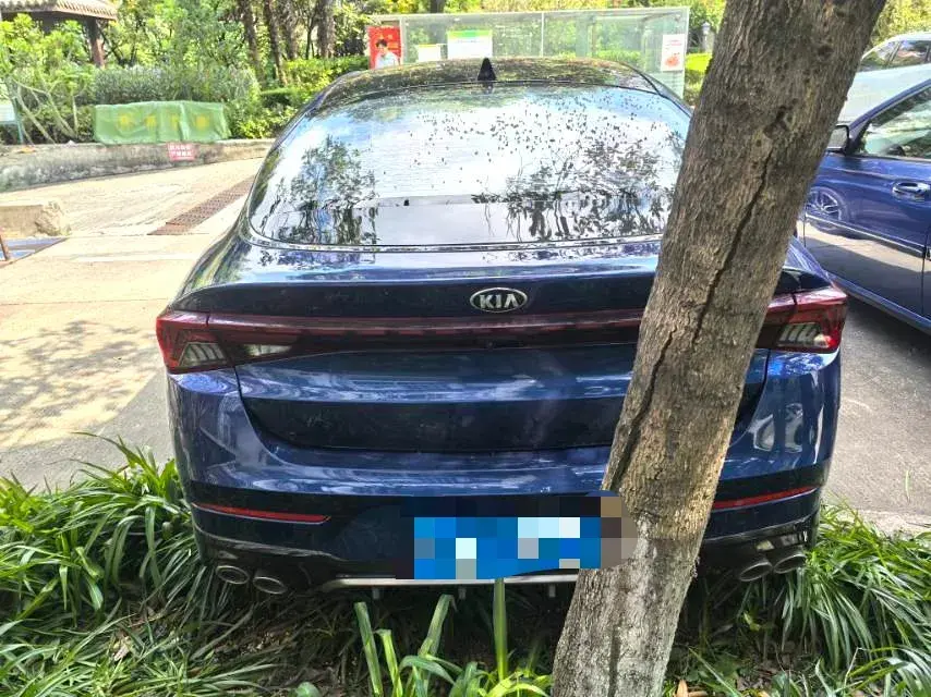 2020 KIA K5 thumbnail 3