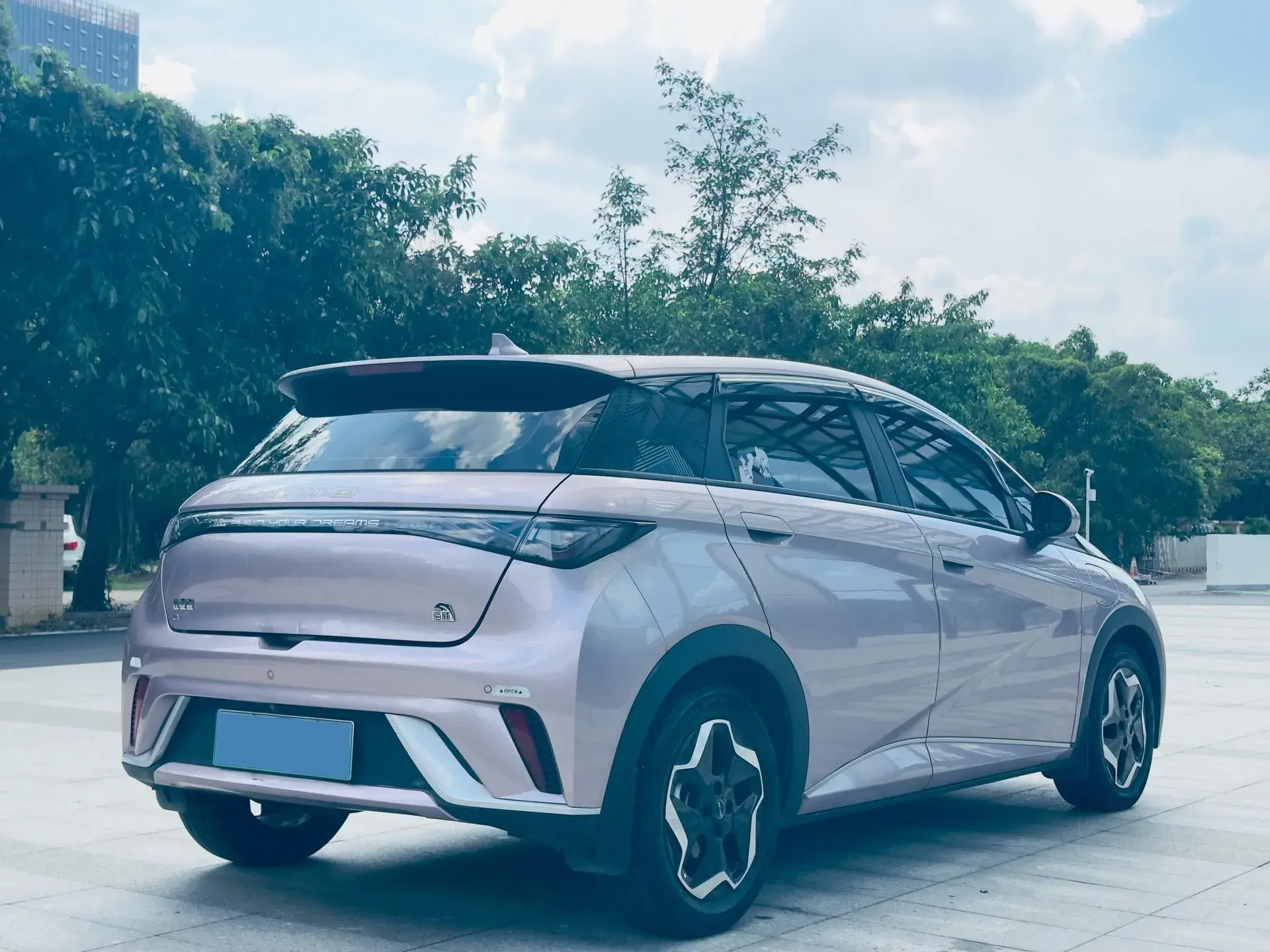 2021 BYD DOLPHIN thumbnail 2