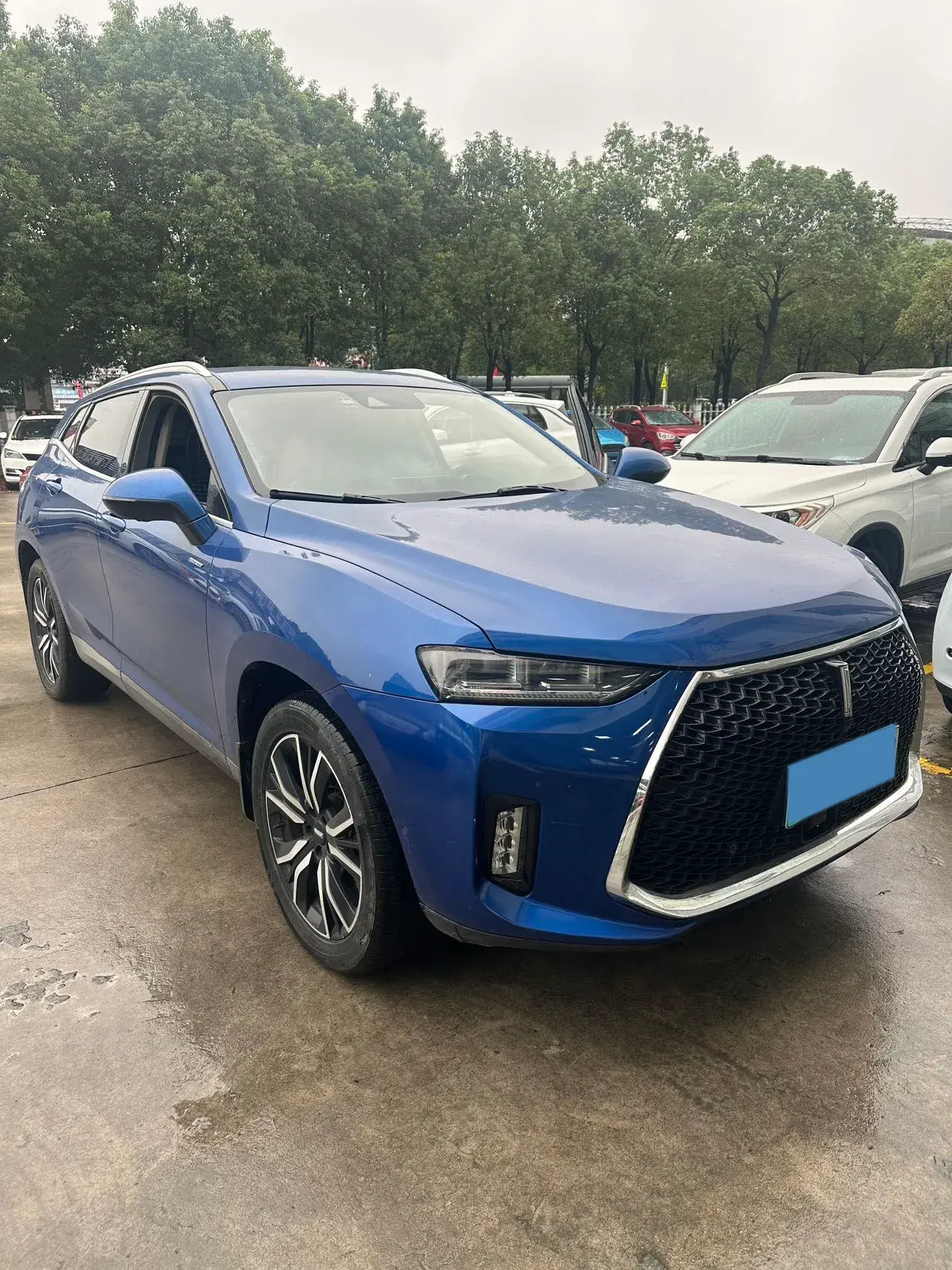 2018 WEY P8 thumbnail 2