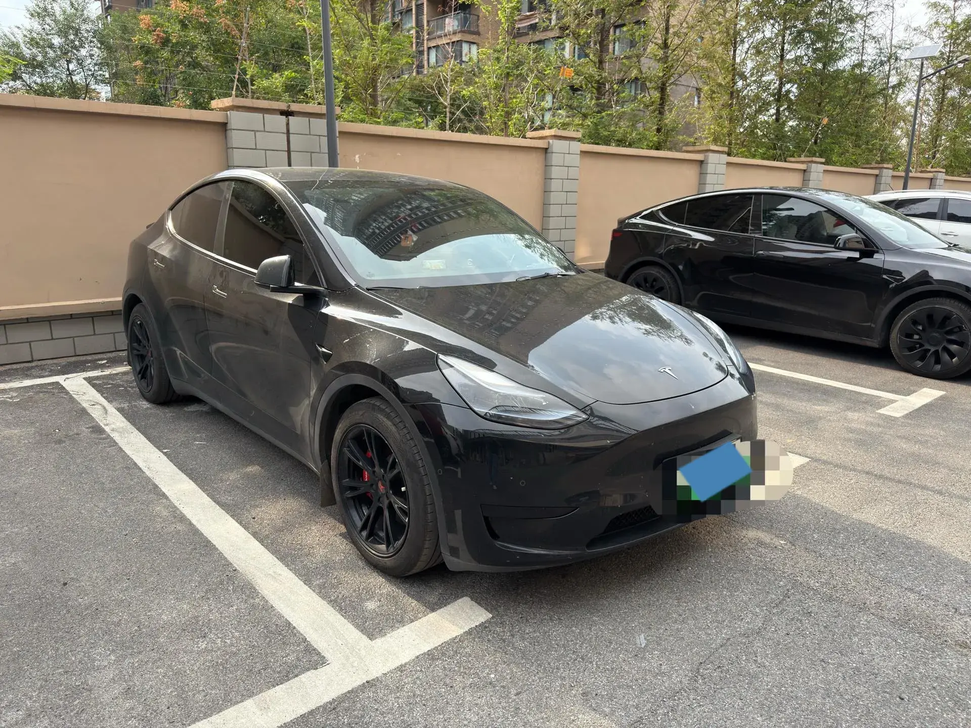 2022 TESLA MODEL thumbnail 3