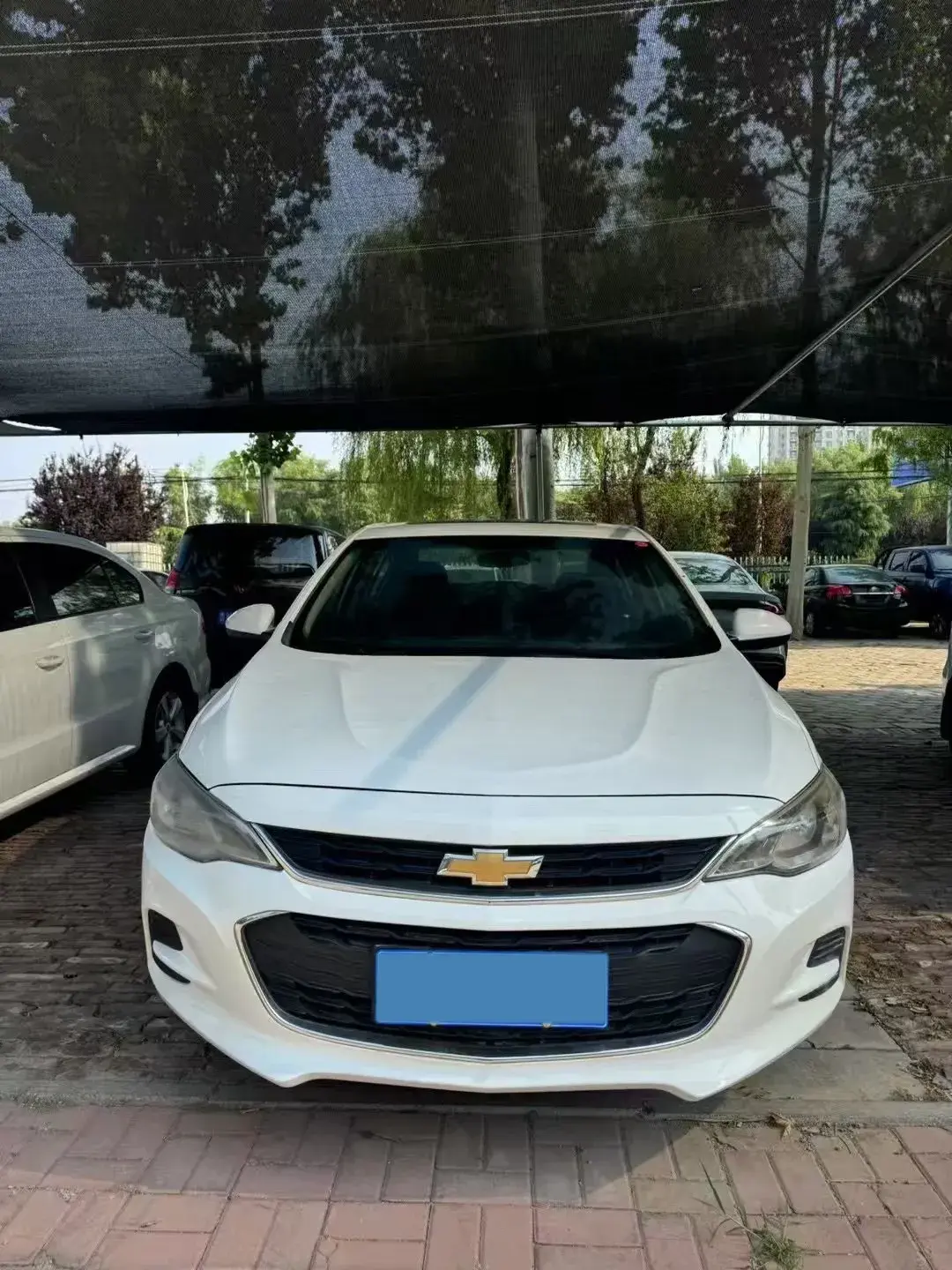 2019 CHEVROLET CAVALIER thumbnail 3