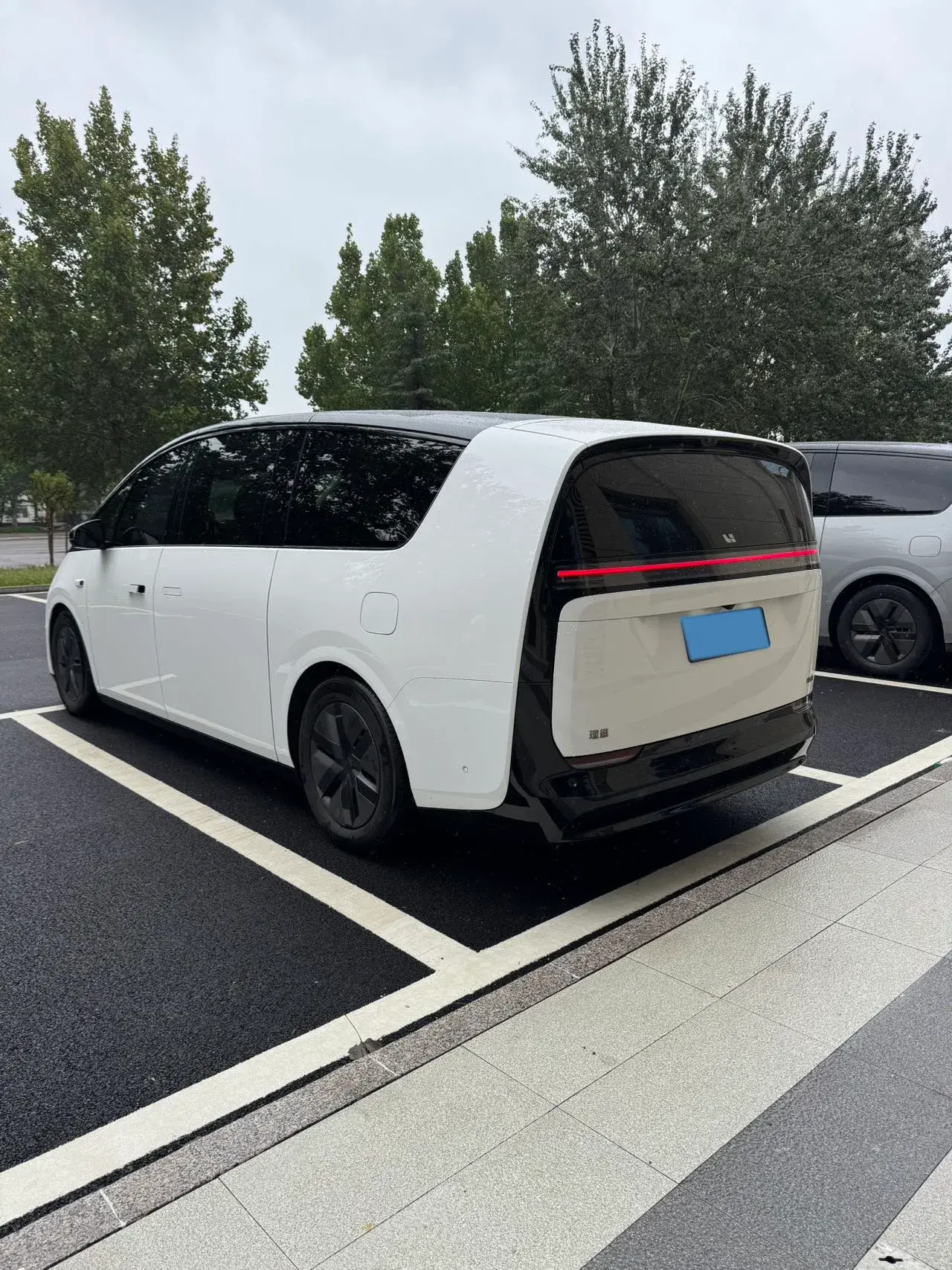 2024 LI MEGA thumbnail 4