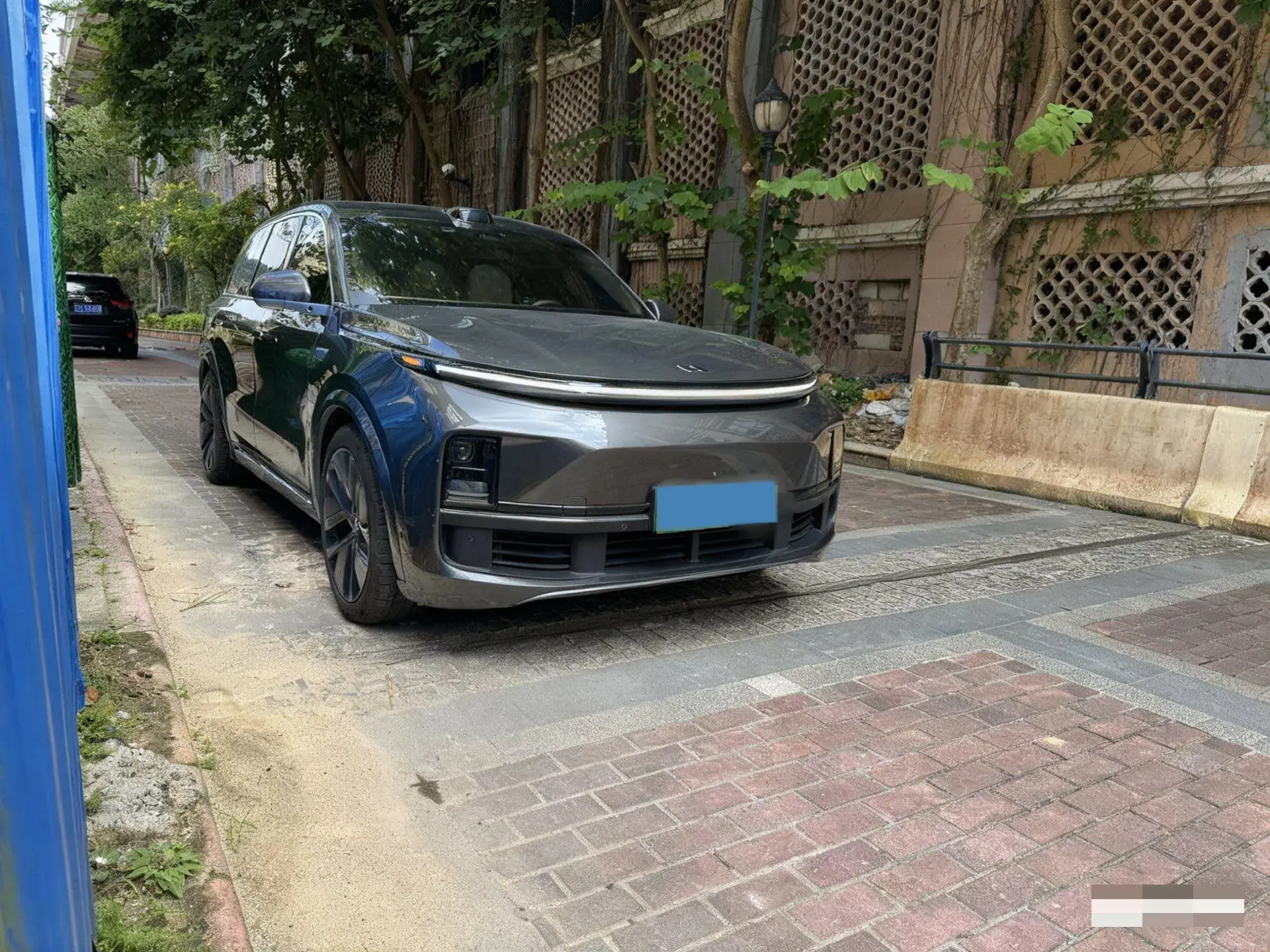 2022 LI L9 thumbnail 3