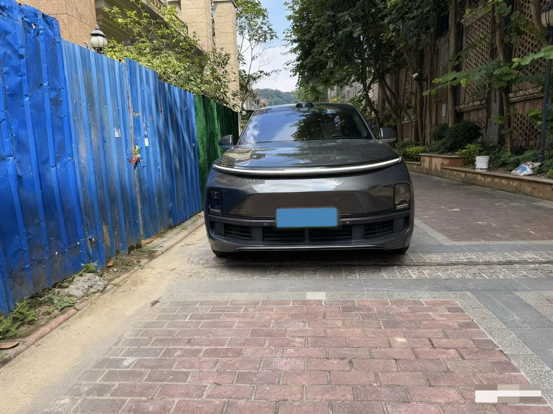 2022 LI L9 thumbnail 2