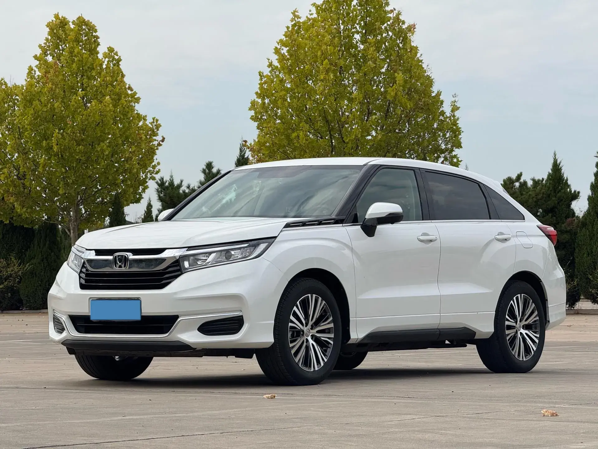 2020 HONDA AVANCIER view 1