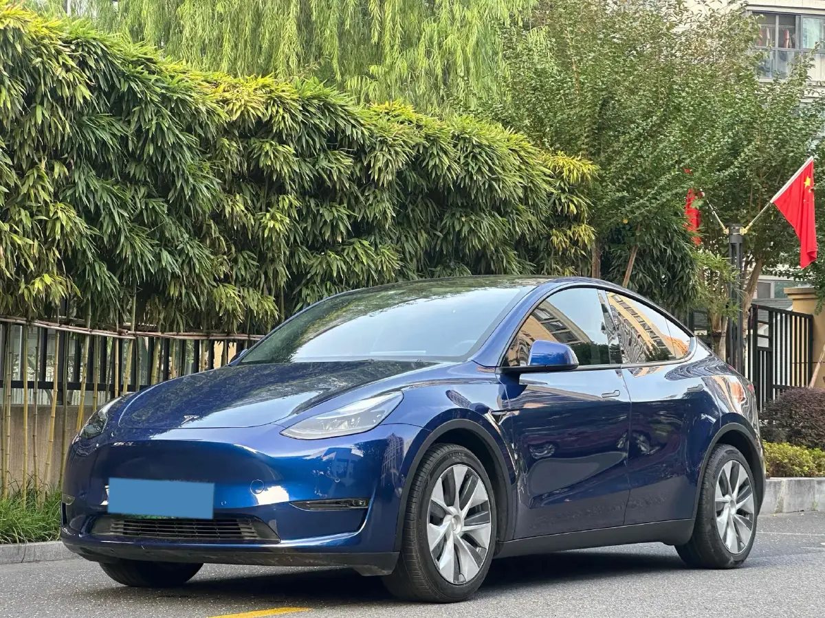 2021 Tesla Model Y BEV 76.8KWH