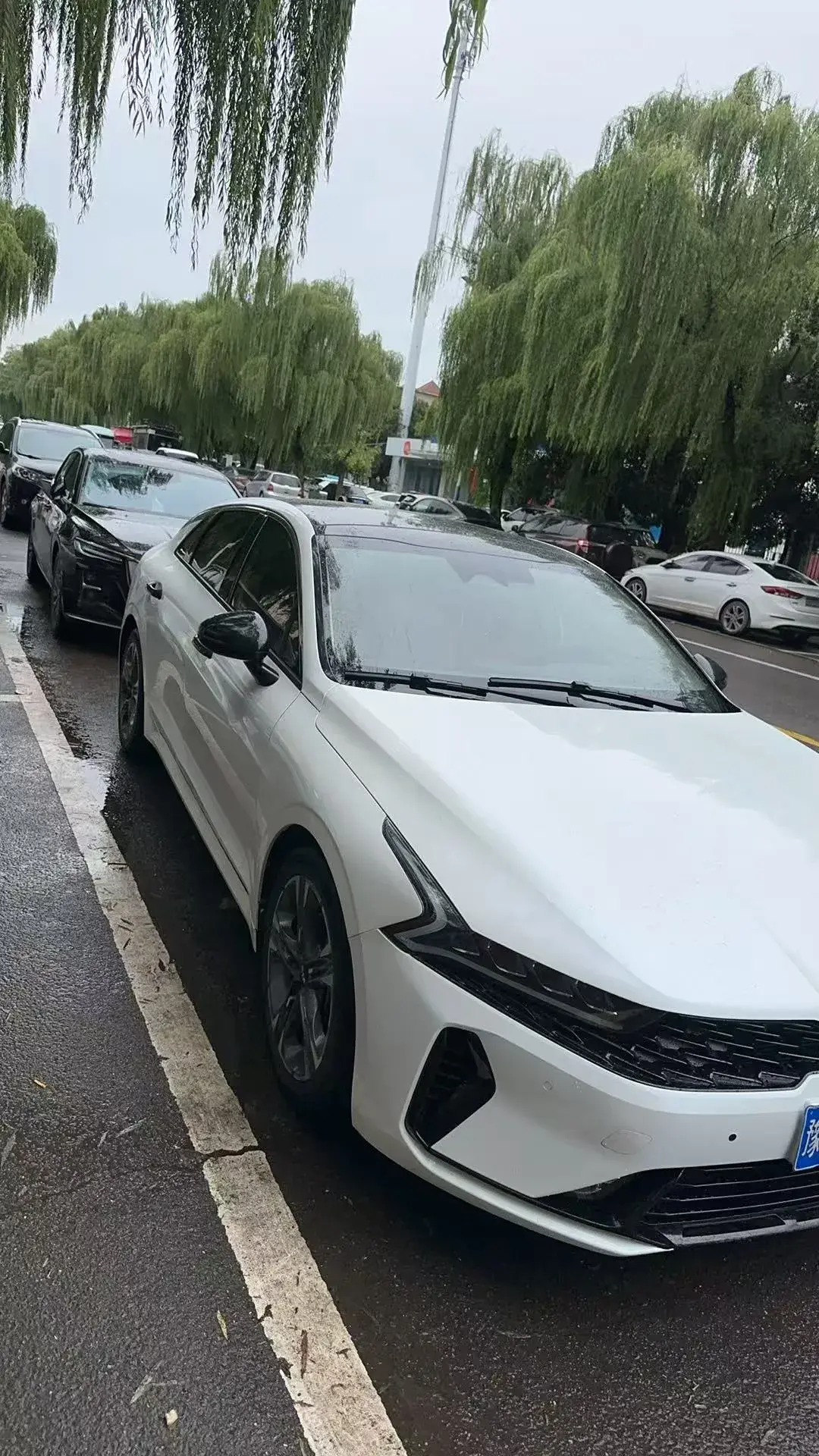 2020 KIA K5 thumbnail 2