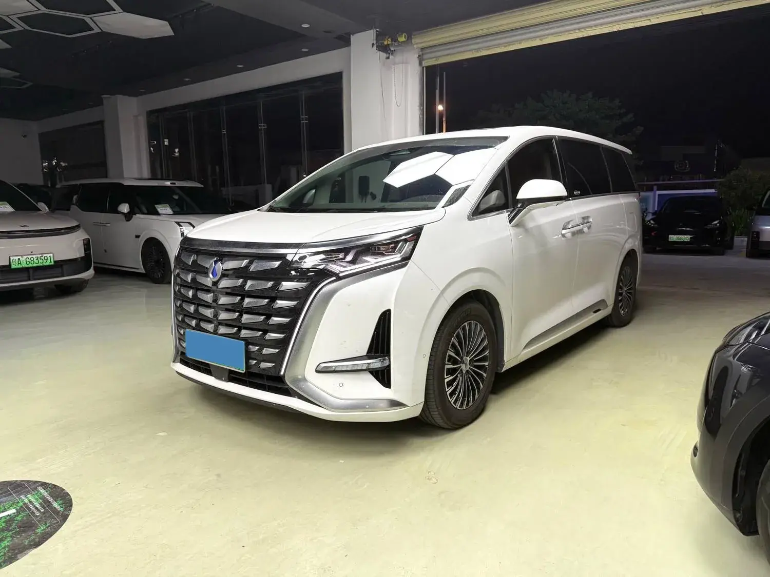 2022 DENZA D9 view 1