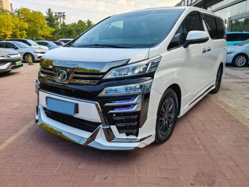 2019 TOYOTA VELLFIRE view 1