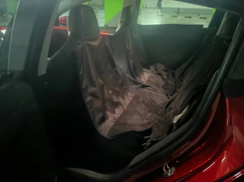 2024 TESLA MODEL thumbnail 4